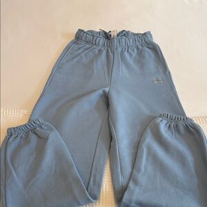 ALO Yoga Dusty Blue Elastic-Waist Joggers